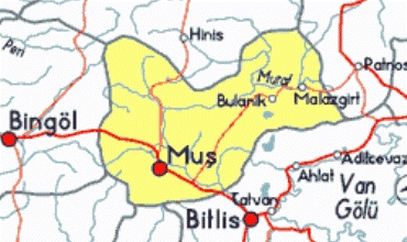 Erdhejê vê carê li Gimgima Mûşê xist