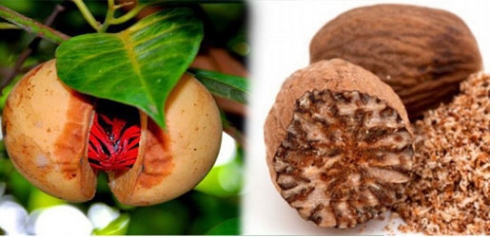 Li dijî penceşêrê weku şervanekî şer dike