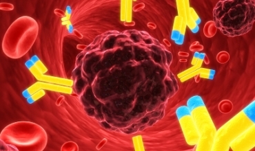 Sedemên penceşêrê çine?