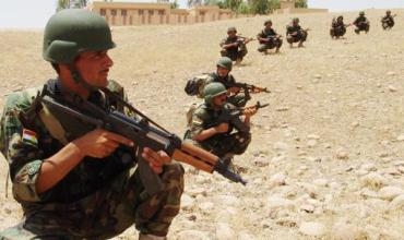 Pêşmerge di nava amadekariyan de ne