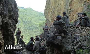 PKK official denies supporting Syrian regime