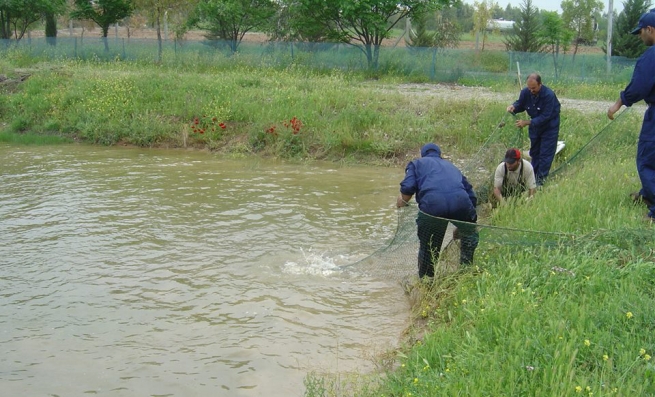 لە 20ی ئەم مانگەوە رێگە دەدرێت راوە ماسی لە كوردستان دەست پێبكاتەوە