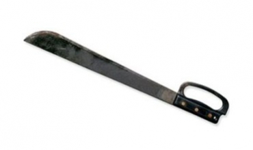 Keçekê serê bavê xwe birrî…!