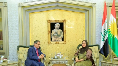 Seroka parlementoyê li gel balyozê YEê civiya