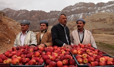 1001 Sêva Taha Kerîmî beşdarî du festîvalan dibe