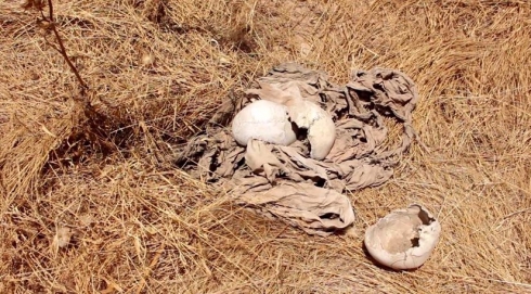 Li Şingalê 7 gorên din ên bi kom hatin dîtin