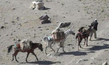 Hêzên Îranê li ser sînorê bakûr-rojhilat kurdek kuştin