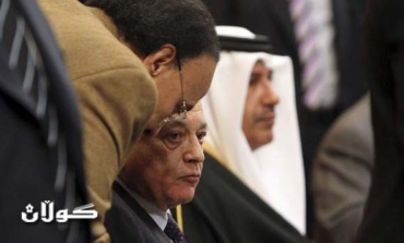 Syria rejects Arab League plan for power transition; opposition welcomes initiative