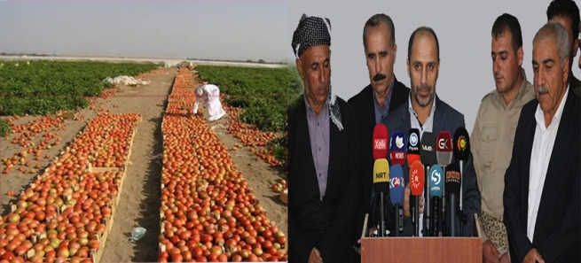 رەسمی گومرگی بۆ هەر كیلۆیەك تەماتەی هاوردە لە 250 دینارەوە بۆ 350 دینار زیادکرا