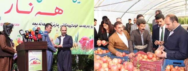 دووەمین فیستیڤاڵی هەنار بۆ بەرهەمە خۆماڵییەكانی پارێزگای هەڵەبجە كرايەوە