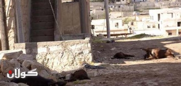 U.N. chemical weapons team in Turkey to investigate Syria claims