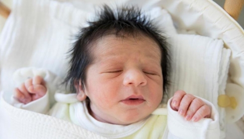 Elmanya.. Barzanî yekem jidayikbûyê sala nû ye