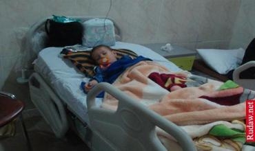 Ciwanek organê nêrîne yê zarokekî bi didan jê dike û dixwe