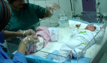 Silêmanî: Di 11 mehan de, 12674 zarok ji dayîk bûn