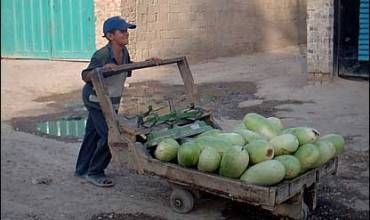 Li herêma Kurdistanê nêzî 15 hezar zarokan karên giran dikin