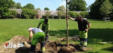 A Memorial Tree in Sweden Honors Halabja Victims