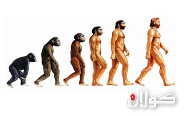 پێشکەوتن بەرەو دواوە