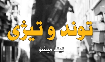 توند و تیژی