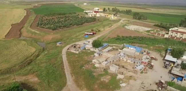 دوو عەشیرەتی دهۆك چەك لە بەرانبەر یەكتری هەڵدەگرن 