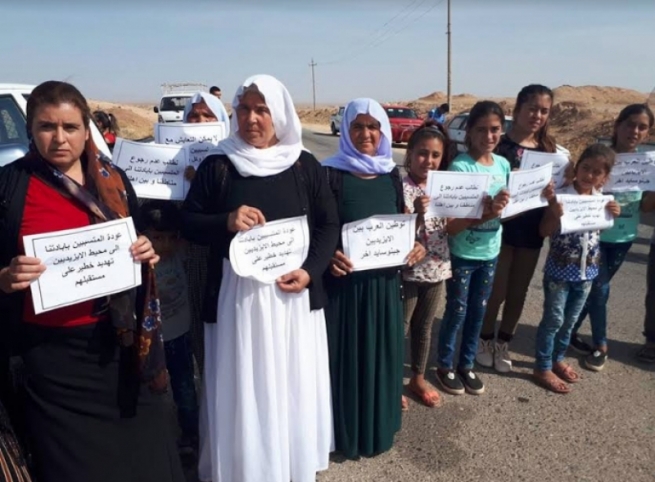 قاسم شه‌شۆ: عه‌ره‌ب هه‌ولده‌ن ئاشتیى دگه‌ل ئێزدیان ل سه‌ر كه‌یسا شنگال بكه‌ن
