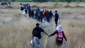 به‌هویی كه‌می به‌شداریی كردنیان ئه‌نجامی ریفراندۆمەكەی هەنگاریا ره‌تده‌كرێته‌وه‌