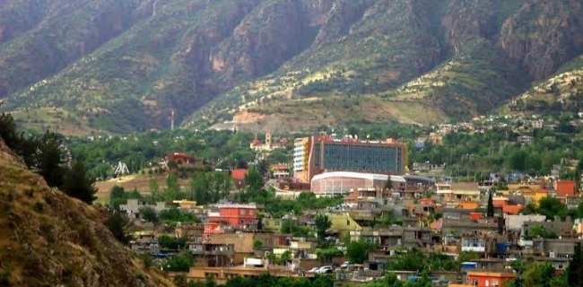شەقڵاوە.. داربڕین خەریکە دەبێتە دیاردە 