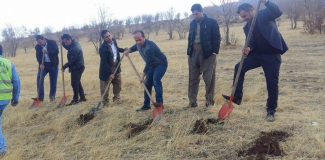 شەقڵاوە.. لە ڕۆژی جیھانی شاخدا ھەڵمەتی چاندنی بەڕوو ئەنجام درا 