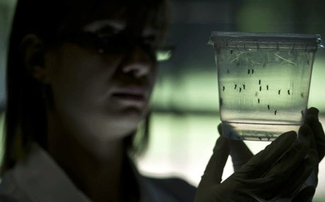 له‌ ته‌كساس چوار حاڵه‌تی نوێی زیكا تۆماركران 