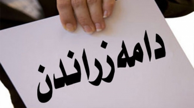 فەرمانگەیەکی گشتی کارمەند بەشێوەی کاتی دادەمەزرێنێت
