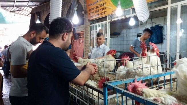 بەرزبوونەوەى نرخى مریشک هاووڵاتیانی سلێمانی نیگەران دەکات