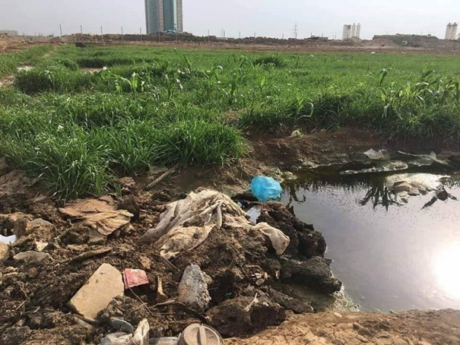 بەهۆی بەکارهێنانی پاشەڕۆ بۆ بەرهەمهێنانی سەوزە چەند کەسێک دەستگیرکران