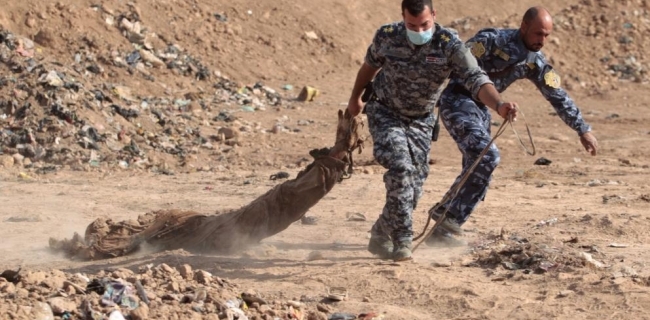 داعش دوو برا و پێنج هاووڵاتى دیكه‌ى له‌ گوندێك كوشت 