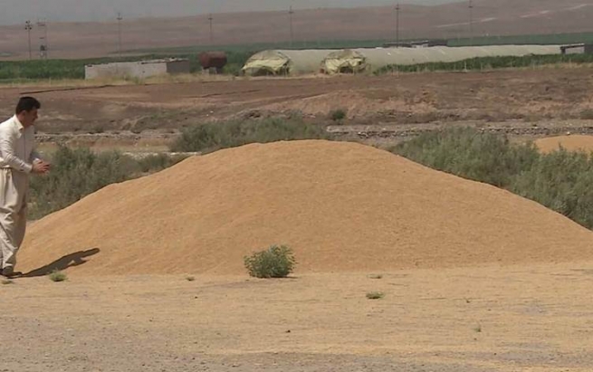 گرێبەستی پرۆژەی بەبازاڕکردنی گەنمی جووتیاران واژۆکرا 