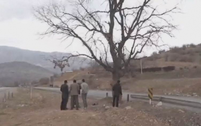 لە لوڕستان هەوڵی وشکککردنی دارێکی 480 ساڵە دەدرێت