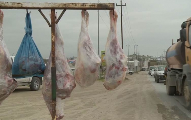 لە 3 رۆژی نەورۆزدا لە سلێمانی دەستبەسەر 50 سەر ئاژەڵی نایاساییدا گیراوە