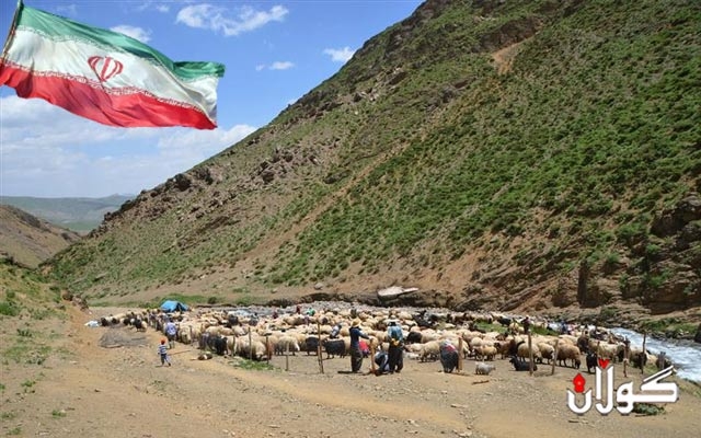  سوپای پاسداران 44 سەر ئاژەڵی جووتیارێکی سیدەکان دەڕفێنێت 