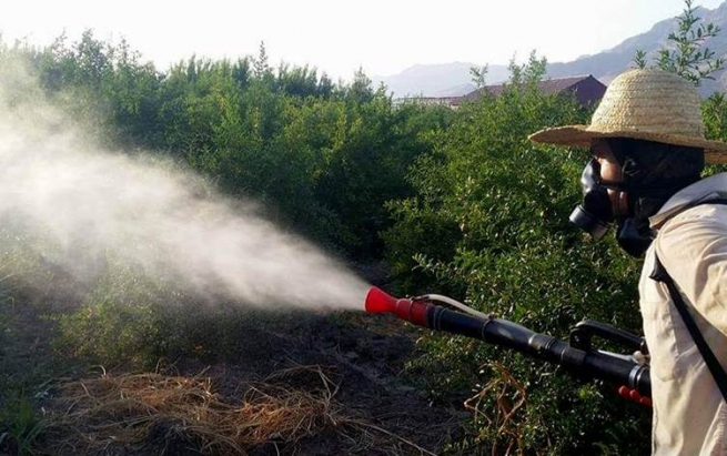 وەزارەتی کشتوکاڵ: بەبێ بەرامبەر دەرمانی قڕکەر بۆ جووتیاران دابین دەکەین
