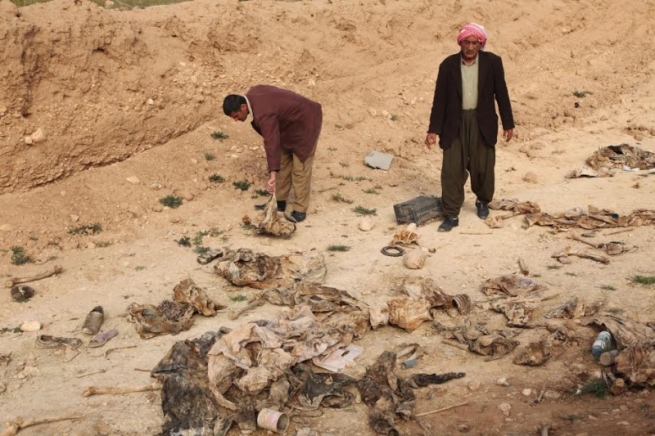ل دەڤەرا شنگال گۆرەکێ دی یێ بکۆم ھاتە دیتن