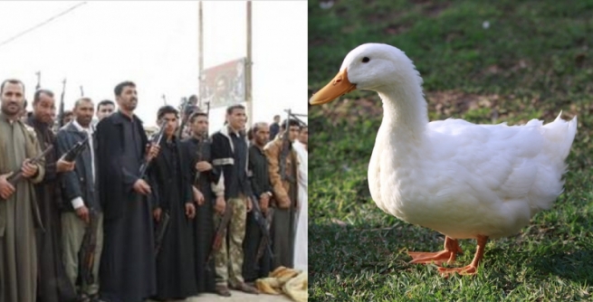 باشووری عێراق.. مراوییەک شەڕ لەنێوان دوو عەشیرەت دروست دەکات