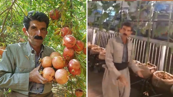 جووتیاره‌ نموونه‌ییه‌كه‌ به‌رهه‌می كشتوكاڵی كوردستان ده‌گه‌یه‌نێته‌ ژاپۆن