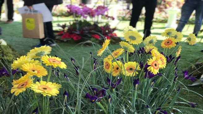 پێشانگای گوڵ لە ھەولێر كرایەوە