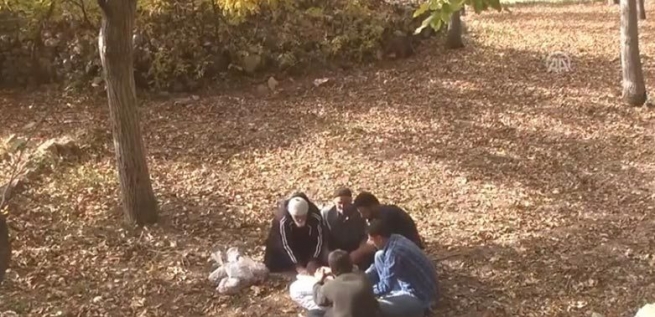  بازارى گوێزى باكوورى كوردستان زيانى به‌ركه‌وتووه‌