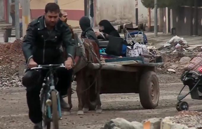 گه‌ڵای دار ده‌خۆن، ترس له‌ ژیان كه‌وتووه‌ته‌ سه‌رووی ترسی مردنه‌وه‌