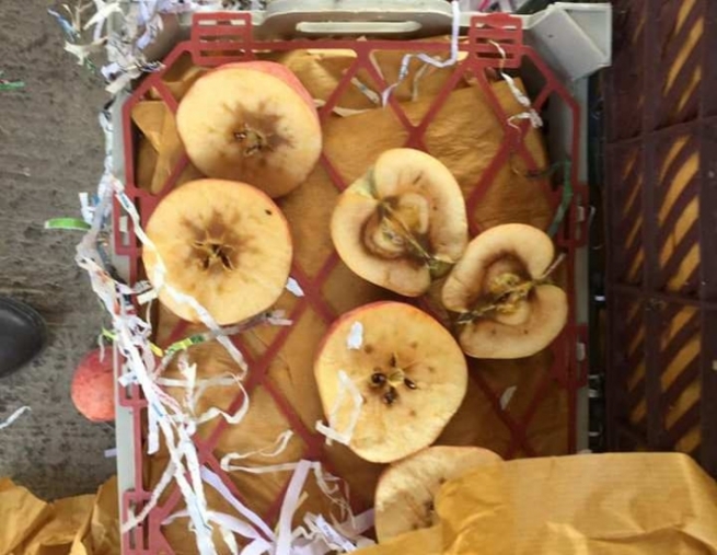 عەلی عەونی: ڕەزا ئاڵتوون بە شێوەیەکی جددی ھەڕەشە لە ھەرێمی کوردستان دەکات  و وا دەزانێت خۆی مالکی باشووری کوردستانە