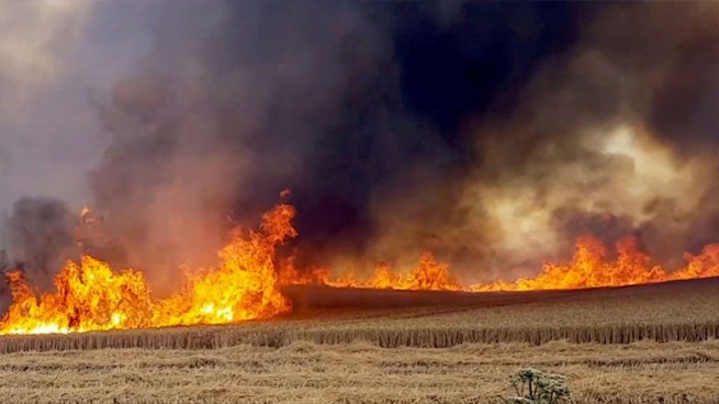  ئاگر لە دەغڵ و دانی جوتیارانی كوردی سێ گوندی داقووق به‌ردراوه‌