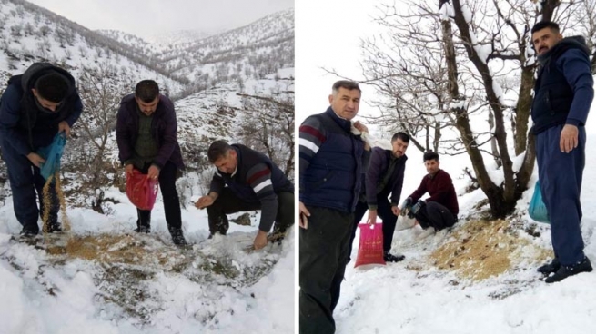 ژینگەدۆستانی قەڵادزێ له‌ خه‌می ئاژه‌ڵه‌ كێوی و باڵنده‌كانن
