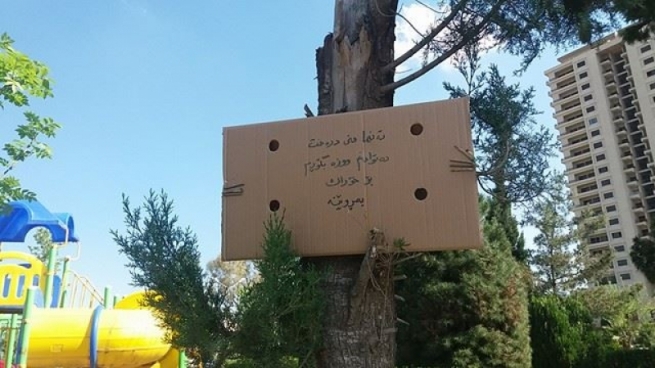 لە سلێمانی دره‌خته‌كان هاتنه‌ ده‌نگ