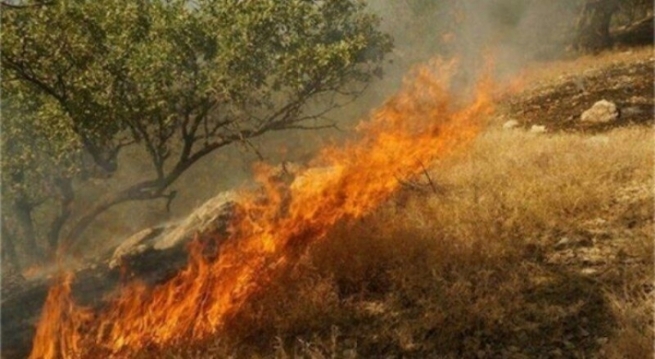 ماوەی شەش ڕۆژە دارستانەکانی پاوە لە ڕۆژهەڵاتی کوردستان دەسووتێن