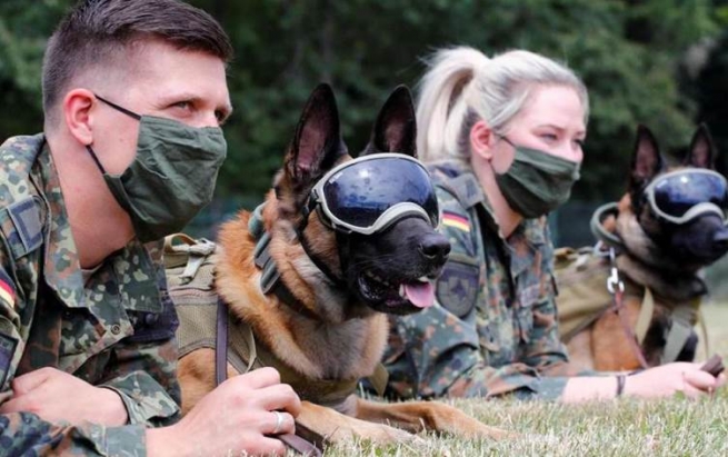 لە ئەڵمانیا تووشبووی کۆرۆنا لەڕێگەی سەگی پۆلیسییەوە دەستنیشاندەکرێت