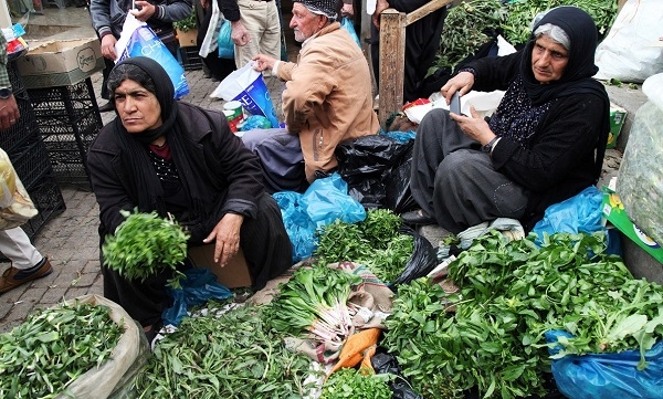 	 هەر كەسێك گژوگیا لە رەگەوە دەربهێنێت سزا دەدرێت